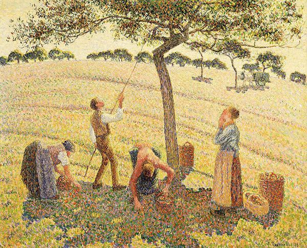 Camille Pissarro Apfelernte in Eragny oil painting image